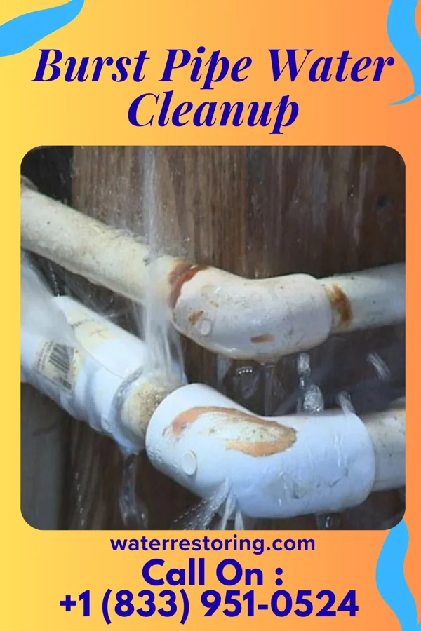 Burst Pipe Water Cleanup in Marion, NC