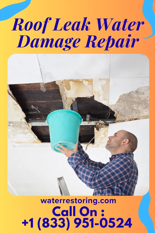 Roof Leak Water Damage Repair in Marion, NC